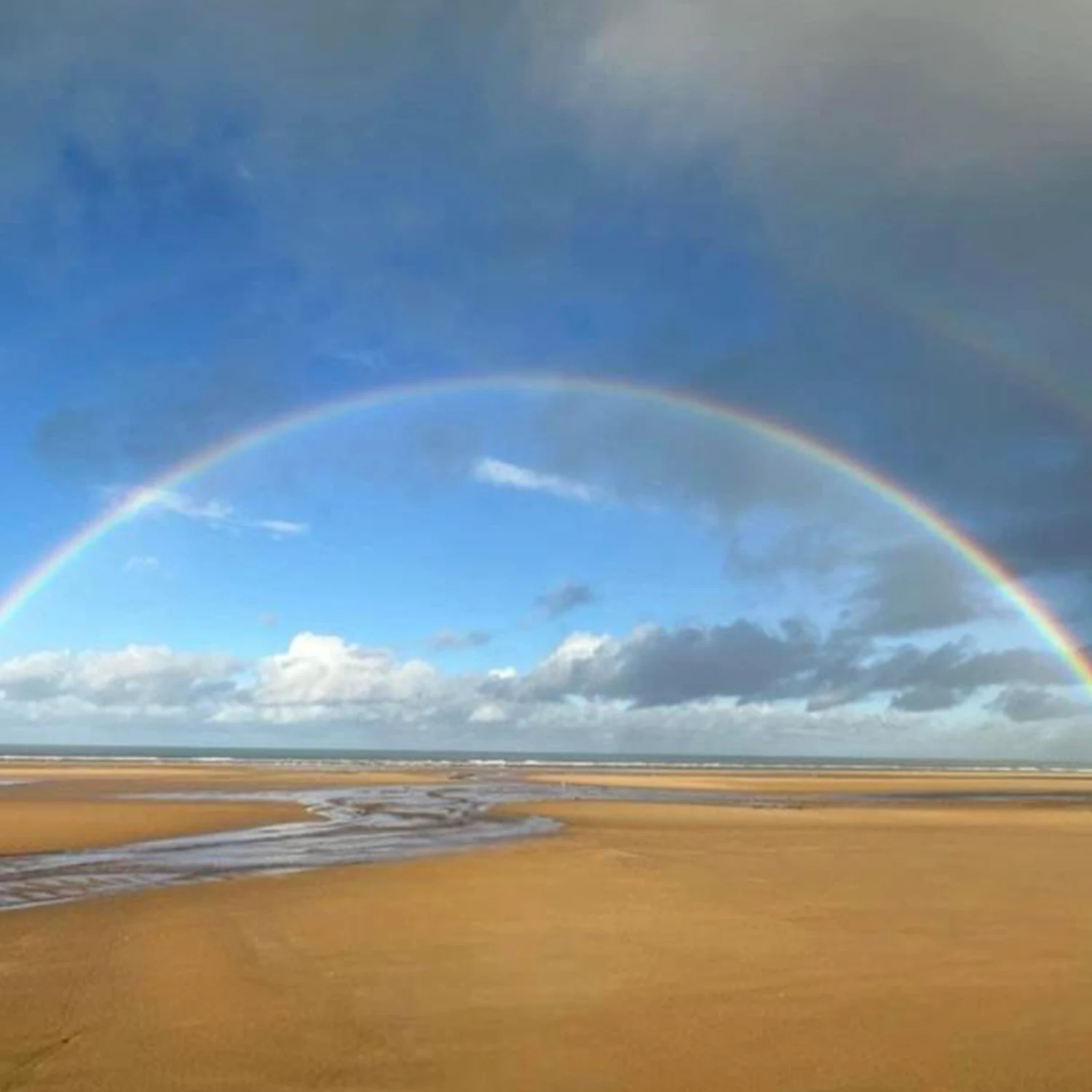 L'arbre de l'être - Magnétisme - 4