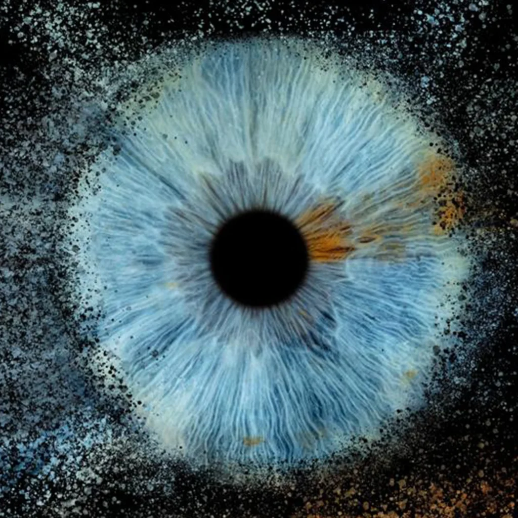 L'arbre de l'être - Psychopraticienne, Praticienne TEDMI, Sexothérapeute, énergéticienne - 10